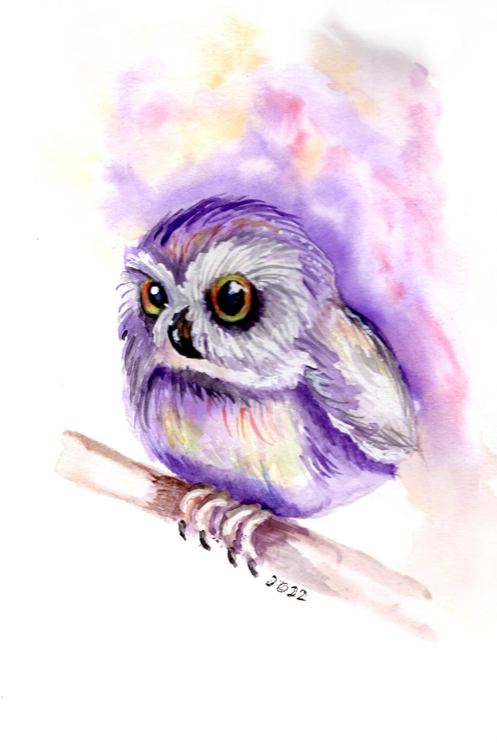 Owl