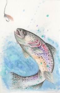 watercolor of a rainbow trout