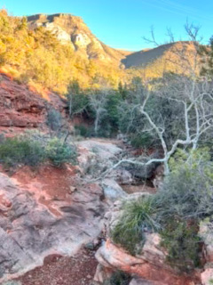 out of focus image of Sedona landscap
