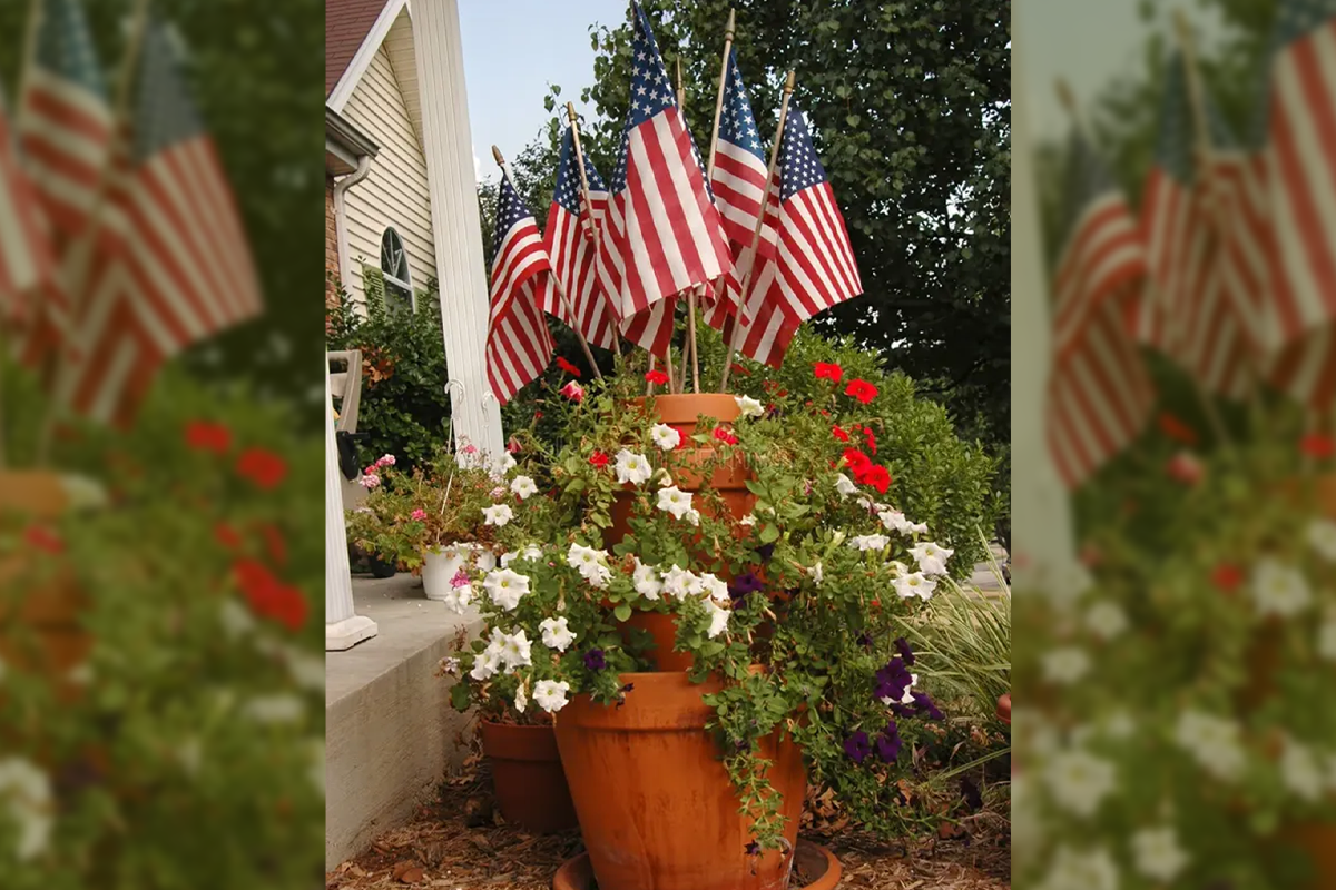 Stars & Stripes Among Native Blooms: Patriotic Wildflowers for Your Garden”