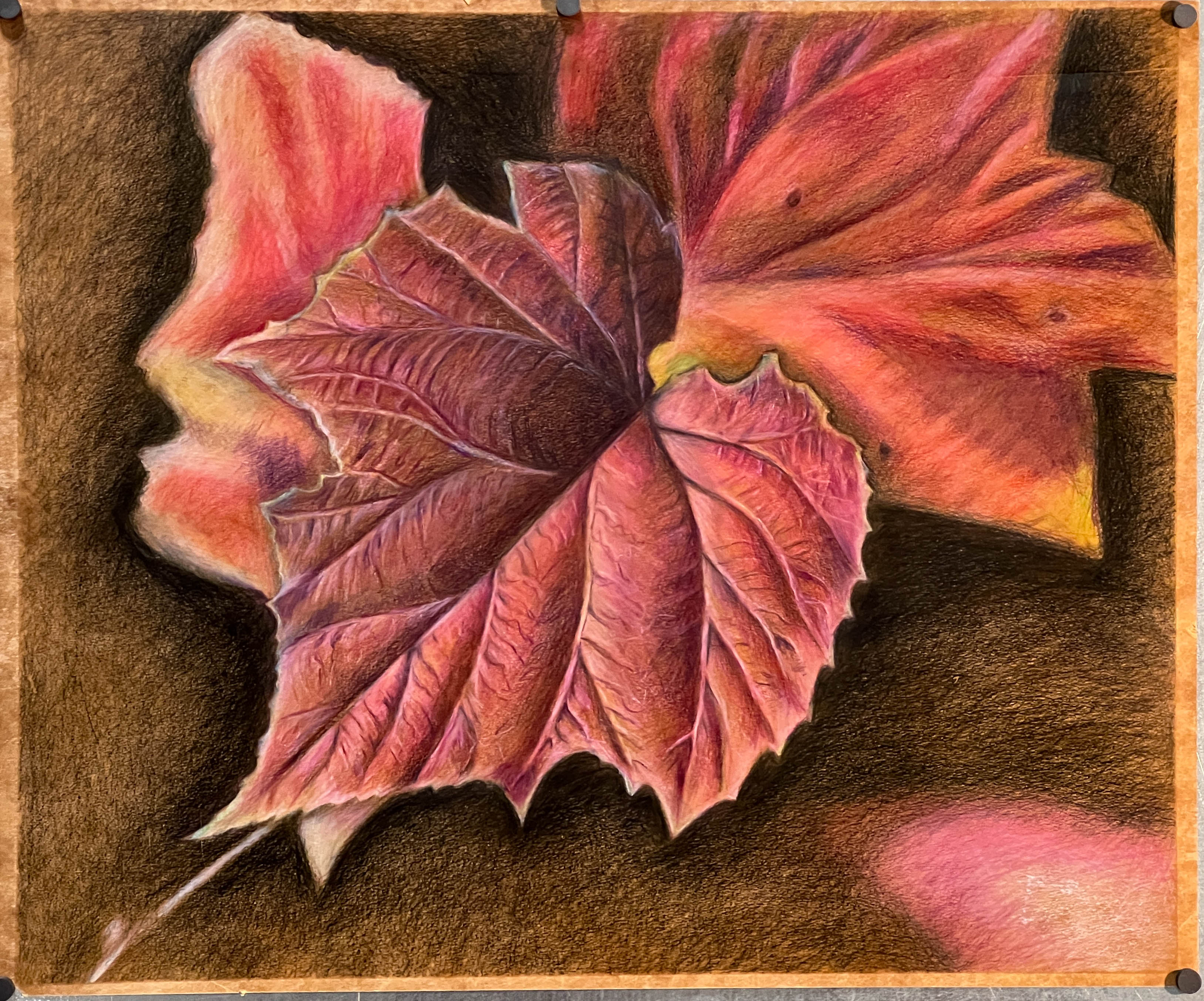 Colored-pencil drawing on chipboard of a single leaf mid-transition, its hues shifting from green through yellow and orange to red, with detailed veining and soft shading against the natural brown board.